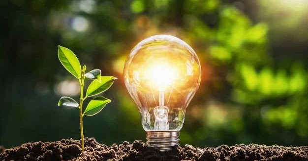 A lightbulb next to a seedling